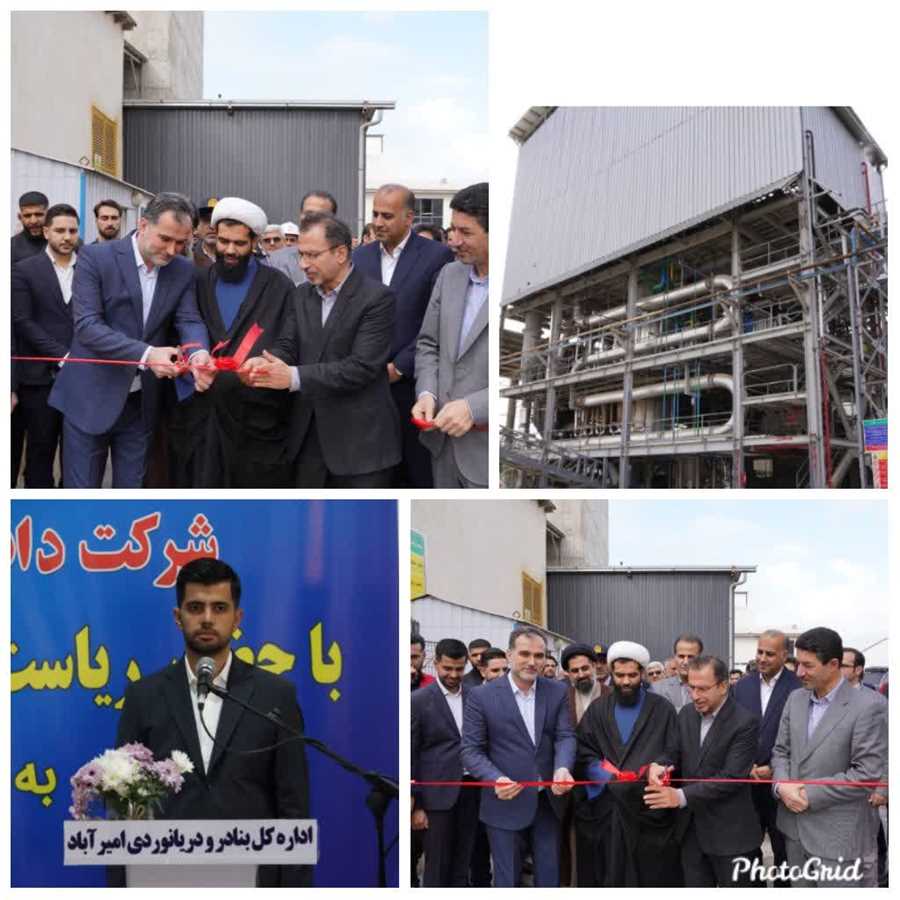 استحصال روغن در بندر امیرآباد آغاز شد